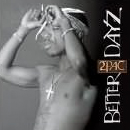 Better Dayz